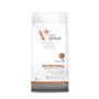 Vet Expert Intestinal Cat 2kg