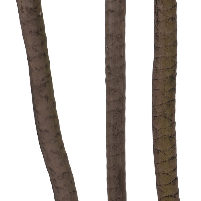 Planta Dracaena Rojo Goma Decoración 165 cm