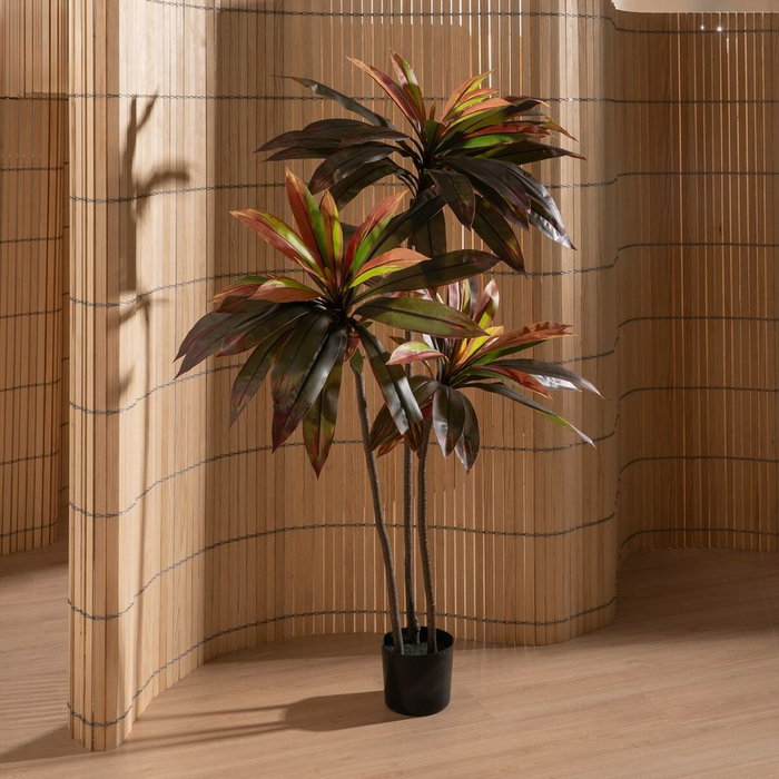 Ixia Planta de decoración Dracaena Rojo Goma 165 cm
