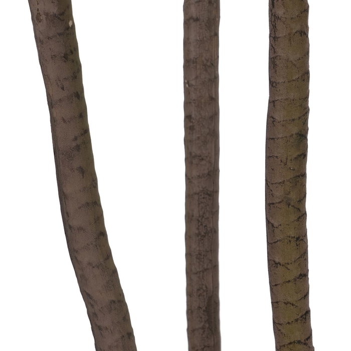 Ixia Planta de decoración Dracaena Rojo Goma 165 cm