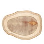 Summa Tabla Fuente Abstract de Madera de Abedul Grande