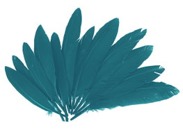 Innspiro Plumas Indio Azul 60u