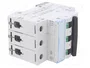 LEGRAND S300 TX Interruptor magnetotérmico 3 polos 2A Caract C