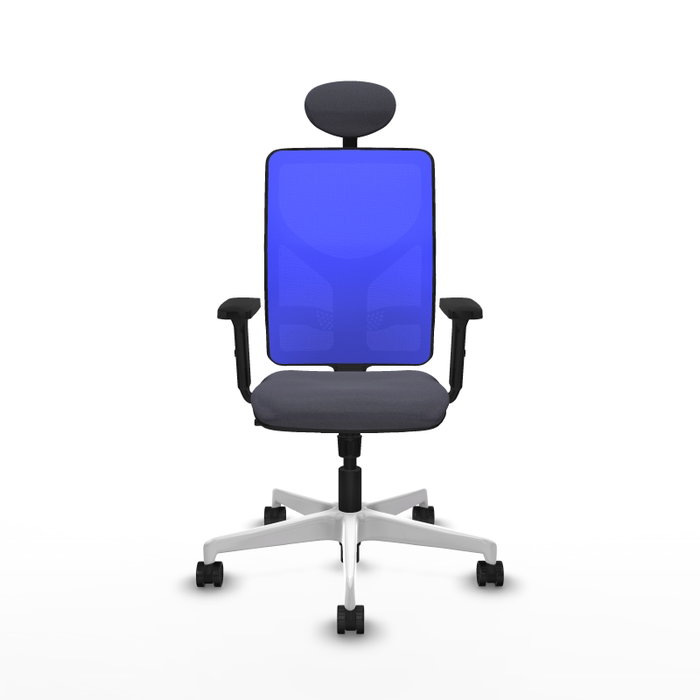 PIQUERAS Y CRESPO Silla de oficina Motilla con mecanismo Sincro, Gris oscuro y Azul PIQUERAS Y CRESPO Silla de oficina Motilla con mecanismo Sincro, Gris oscuro y Azul