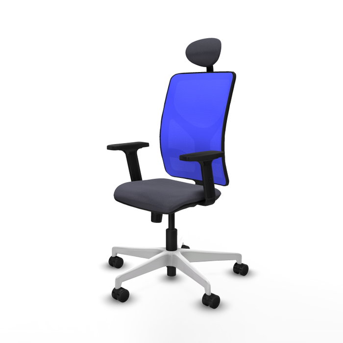 PIQUERAS Y CRESPO Silla de oficina Motilla con mecanismo Sincro, Gris oscuro y Azul PIQUERAS Y CRESPO Silla de oficina Motilla con mecanismo Sincro, Gris oscuro y Azul