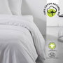 Today Juego de cama de algodón orgánico 220 x 240 cm