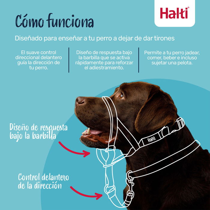 Bozal Company of Animals FOREST Verde 2