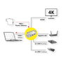 ROLINE 12.02.1121 Dockingstation Multiport USB Tipo C con HDMI, LAN y USB 3.2 Gen 2