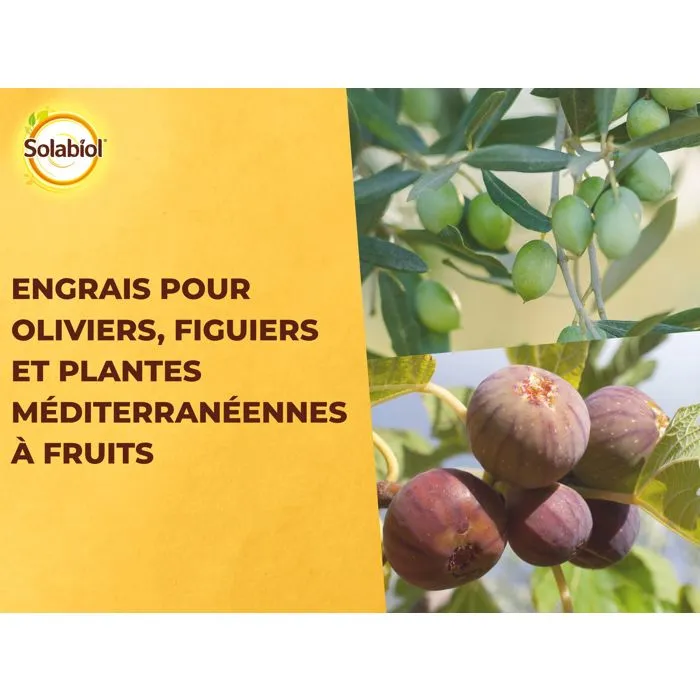 Solabiol Fertilizante Oliva e Higuera Estuche 750 g UAB Solabiol Fertilizante Oliva e Higuera Estuche 750 g UAB