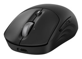 HP Ratón inalámbrico recargable 700