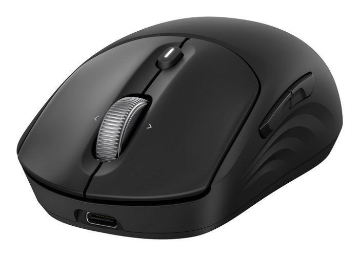 HP Ratón inalámbrico recargable 700 Negro