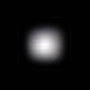 Elinchrom Snoot Grid 6°