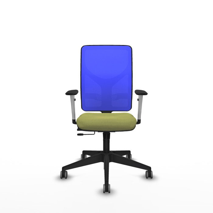 PIQUERAS Y CRESPO Silla de oficina Motilla con mecanismo Sincro/Traslack, Verde oliva y Azul