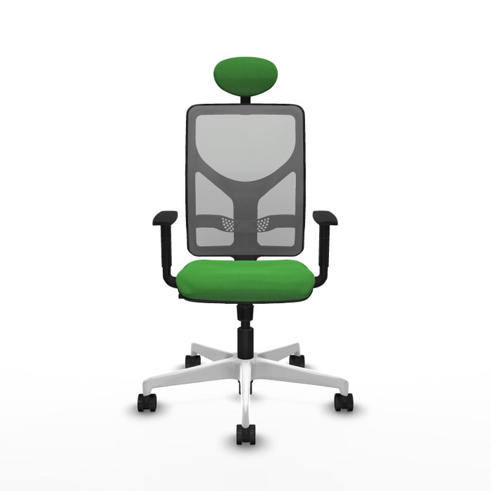 PIQUERAS Y CRESPO Silla de oficina Motilla con mecanismo Sincro, Verde y Gris PIQUERAS Y CRESPO Silla de oficina Motilla con mecanismo Sincro, Verde y Gris