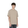 Camiseta de Manga Corta Hombre Dickies Porterdale
