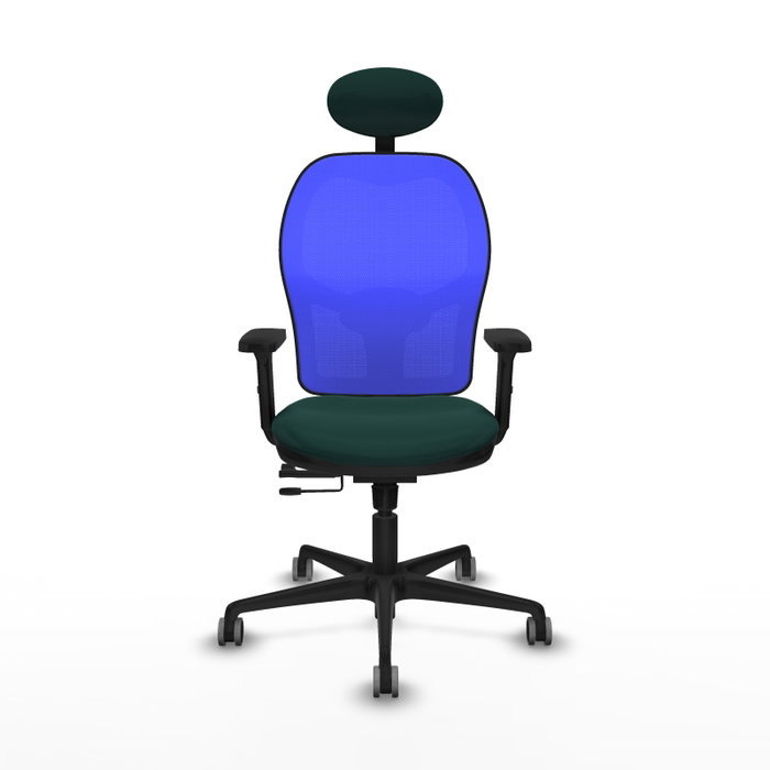 PIQUERAS Y CRESPO Silla de oficina Jorquera Verde botella y Azul PIQUERAS Y CRESPO Silla de oficina Jorquera Verde botella y Azul