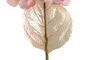 DKD Home Decor Flor Rosa Palo Blanco 20 x 65 x 20 cm (16 Unidades)
