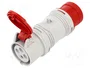 SEZ DK Adaptador de transición IEC 60309 A 1653/43-0
