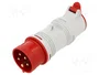 SEZ DK Adaptador de transición IEC 60309 A 1653/43-0