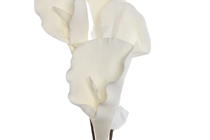 DKD Home Decor Flor Blanco Eva 8 x 103 x 20 cm (6 Unidades)