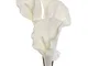 DKD Home Decor Flor Blanco Eva 8 x 103 x 20 cm (6 Unidades)