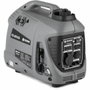 Fieldmann Generador de gasolina FZI 4010-Bi