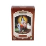 RADHE SHYAM Henna en Polvo Castaño Oscuro 100g