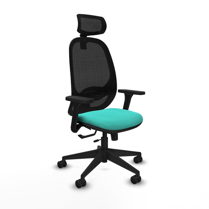 PIQUERAS Y CRESPO Silla de oficina Cilanco con mecanismo Sincro/Traslack, Turquesa y Negro PIQUERAS Y CRESPO Silla de oficina Cilanco con mecanismo Sincro/Traslack, Turquesa y Negro