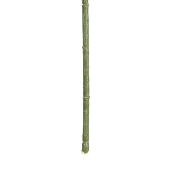 Rama Margarita Blanco 91 cm (Set de 24)