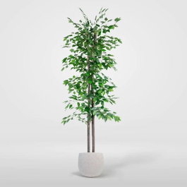 DKD Home Decor Árbol Ficus Verde de Poliéster y Madera 80x80x150 cm