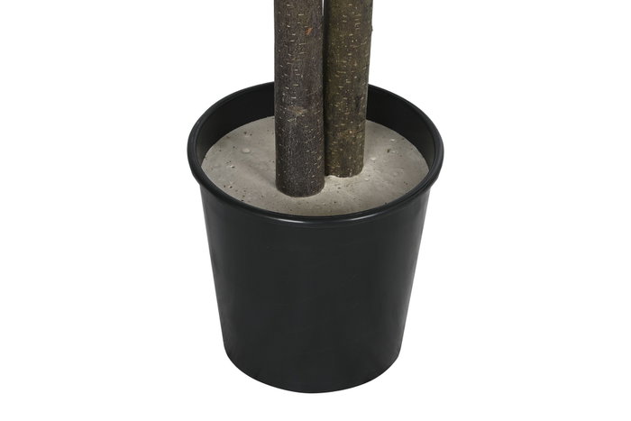 DKD Home Decor Árbol Ficus Verde de Poliéster y Madera 80x80x150 cm