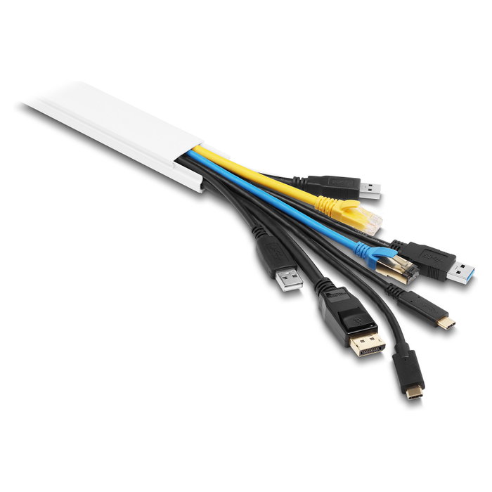 DeLOCK 22088 Canaleta autoadhesiva con tapa deslizante 40 x 19 mm, 2 unidades, Blanco