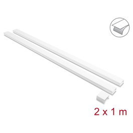 DeLOCK Pack de 2 Canaletas Autoadhesivas con Tapa Deslizante 40 x 19 mm, 1 m, Blanco