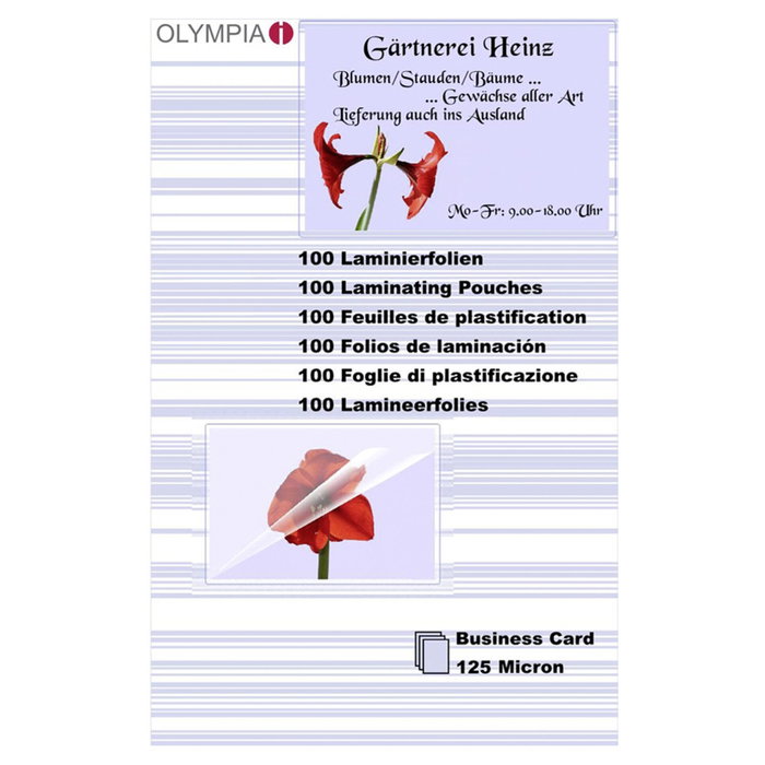Olympia 9179 Fundas para plastificar tarjetas de visita 125 micras (100 unidades) Olympia 9179 Fundas para plastificar tarjetas de visita 125 micras (100 unidades)