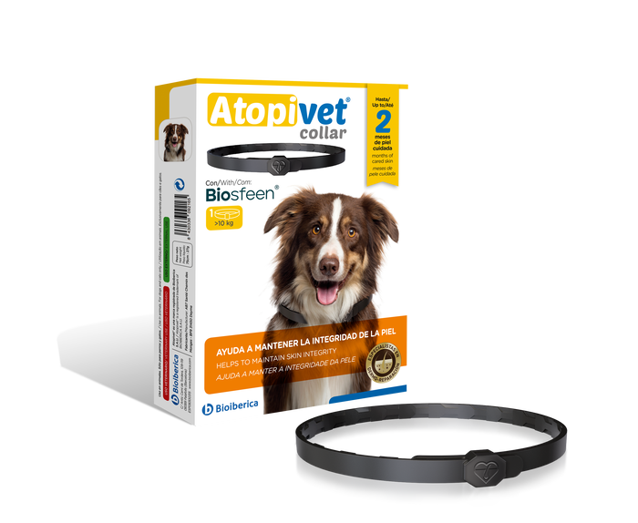 Atopivet Collar Antiparasitario para Perros de más de 10 kg, 75 cm, 1 Unidad