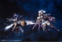 Kotobukiya Arcanadea Soffiera Maqueta Plastic Model Kit (Reproduction)
