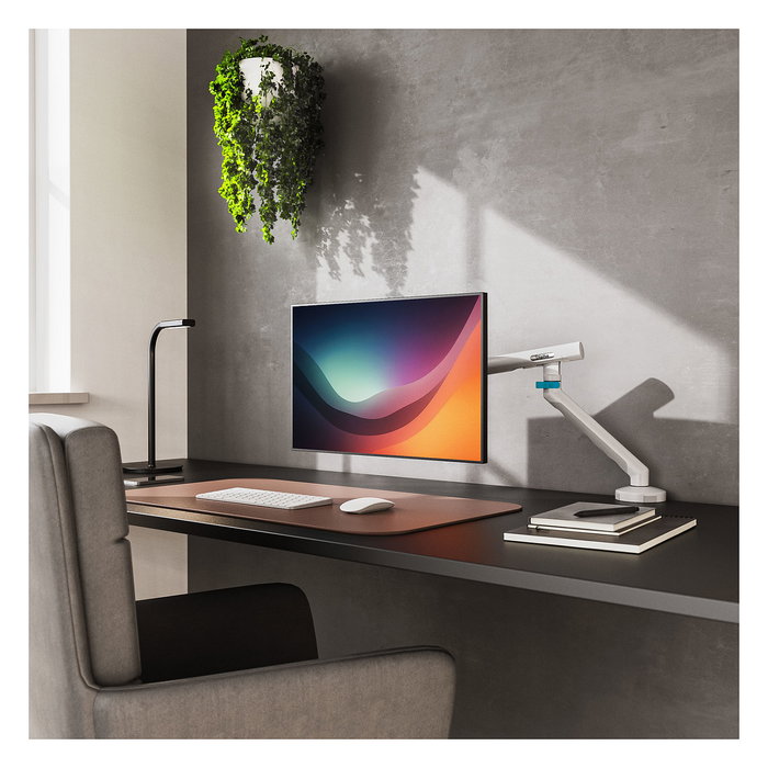 Digitus TIS Single - Báscula de baño digital de 35 kg, con pantalla TFT y función 'Body Check', mecánica, capacidad máxima 10 kg, color blanco