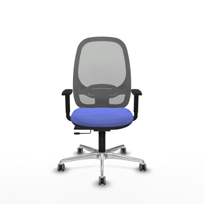 PIQUERAS Y CRESPO Silla de oficina Cilanco con mecanismo Sincro/Traslack, Azul claro y Gris PIQUERAS Y CRESPO Silla de oficina Cilanco con mecanismo Sincro/Traslack, Azul claro y Gris