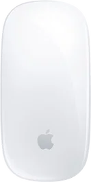 Apple Magic Mouse USB-C Blanco