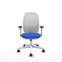 PIQUERAS Y CRESPO Silla de oficina Cilanco con mecanismo Sincro, Azul y Blanco