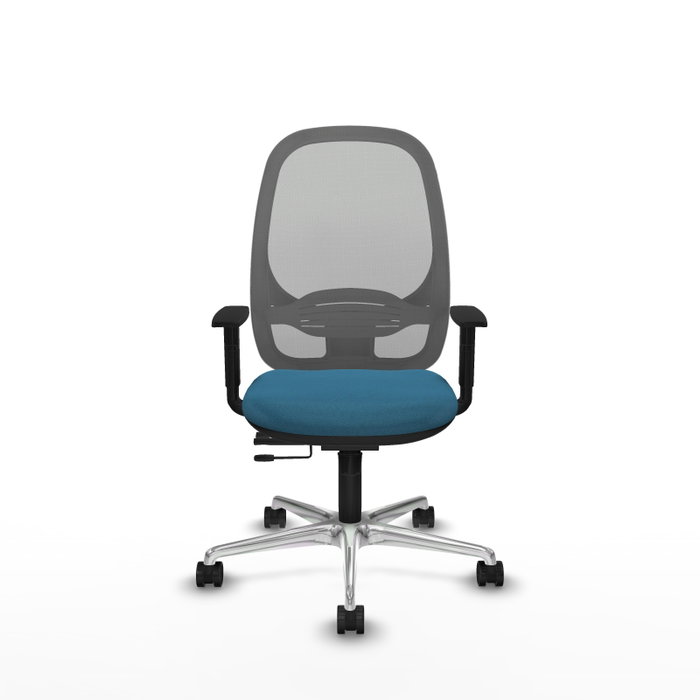 PIQUERAS Y CRESPO Silla de oficina Cilanco con mecanismo Sincro/Traslack Verde petróleo y Gris PIQUERAS Y CRESPO Silla de oficina Cilanco con mecanismo Sincro/Traslack Verde petróleo y Gris
