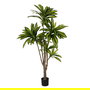 Planta Dracaena Verde Goma Decoración 200 cm