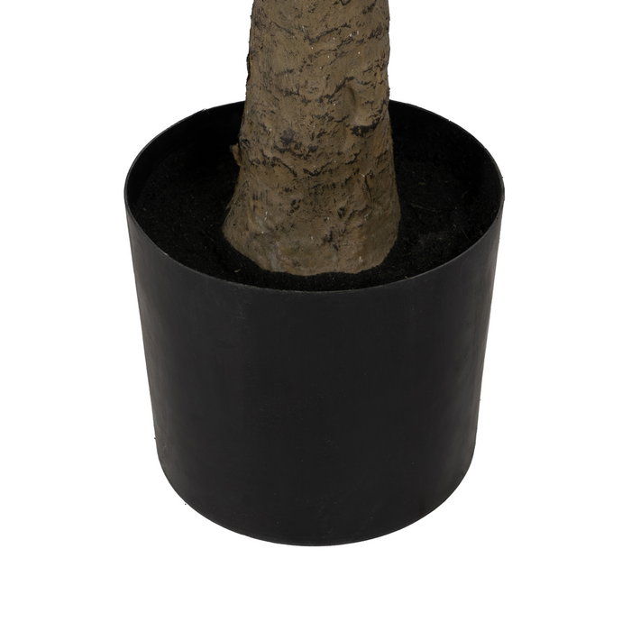 Planta Dracaena Verde Goma Decoración 200 cm