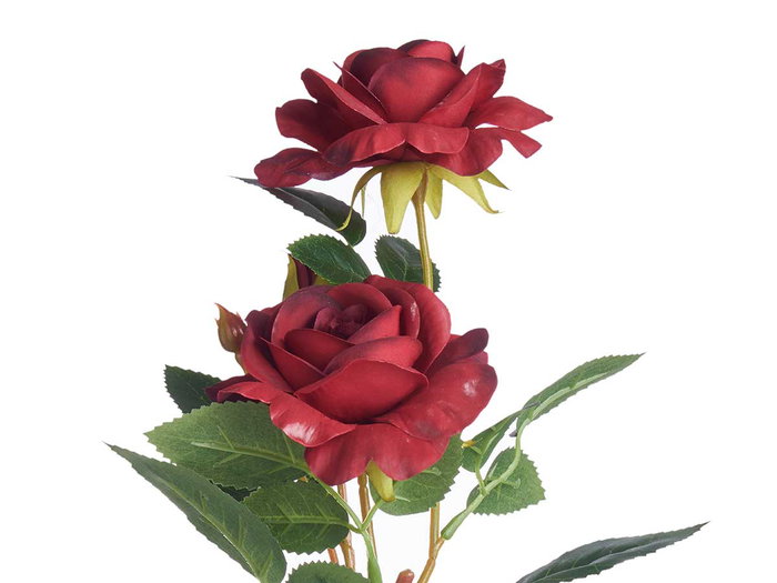 Ibergarden Planta Rosa Bote Metal Surtidos 15x12x36 cm (Set de 12)