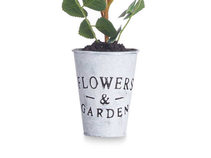 Ibergarden Planta Rosa Bote Metal Surtidos 15x12x36 cm (Set de 12)