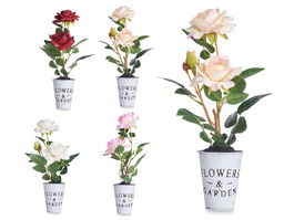 Ibergarden Planta Rosa Bote Metal Surtidos 15x12x36 cm (Set de 12)