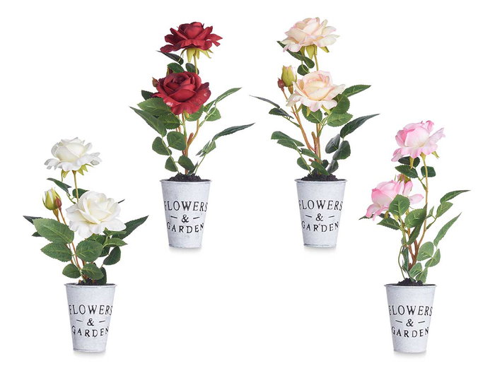 Ibergarden Planta Rosa Bote Metal Surtidos 15x12x36 cm (Set de 12)