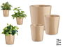 Ibergarden Set 3 Macetas Conica Ceramica Beige 14 cm 17 cm 22 cm