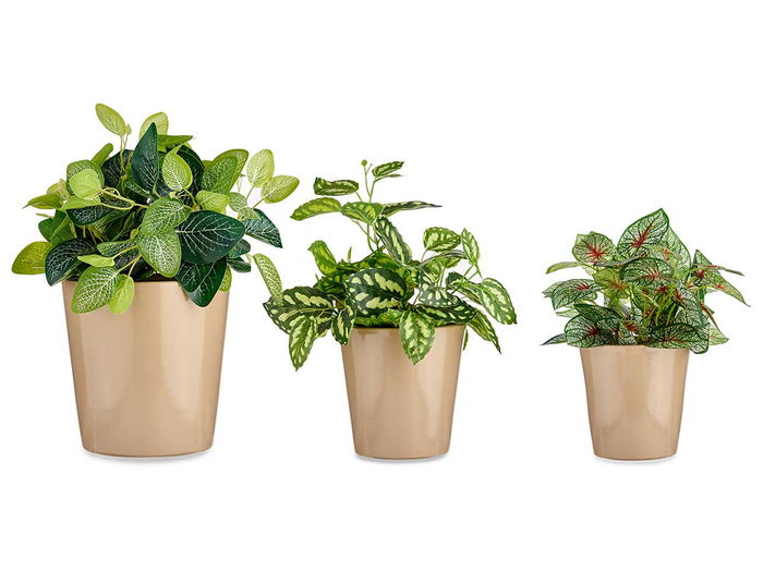 Ibergarden Set 3 Macetas Conica Ceramica Beige 14 cm 17 cm 22 cm