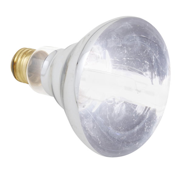 ZooMed Repti Halogen Heat Lamp 75WT ZooMed Repti Halogen Heat Lamp 75WT